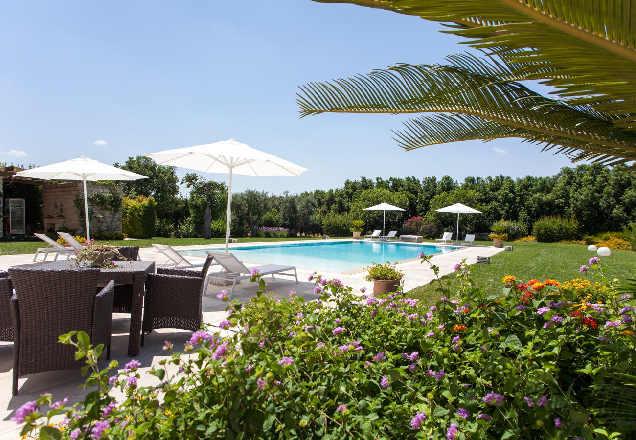 Villa a Galatina - Villa ottocentesca grande piscina e giardino v800