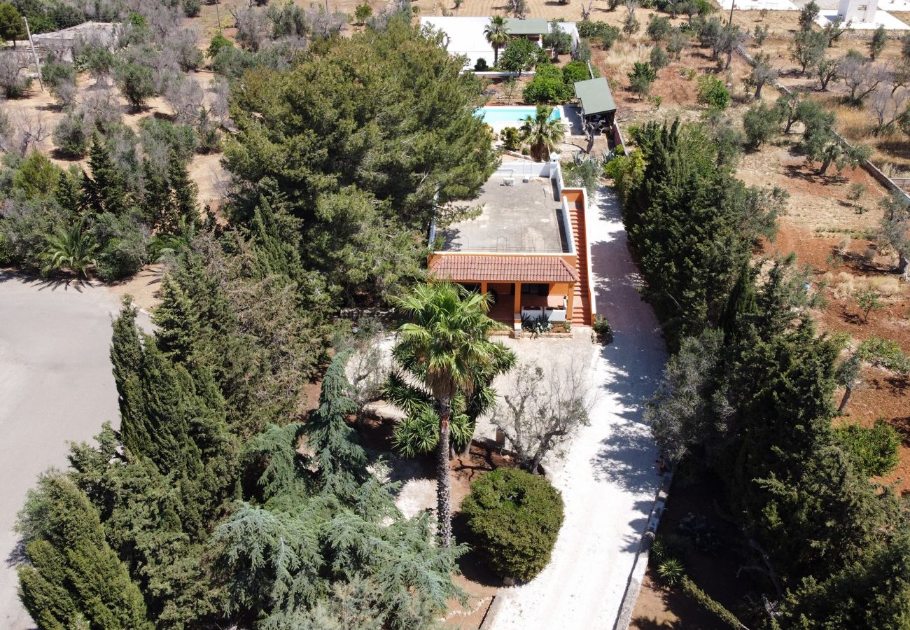 Villa a Collemeto - Villa piscina 5 camere 3 bagni 2 cucine colonnina elettrica v565