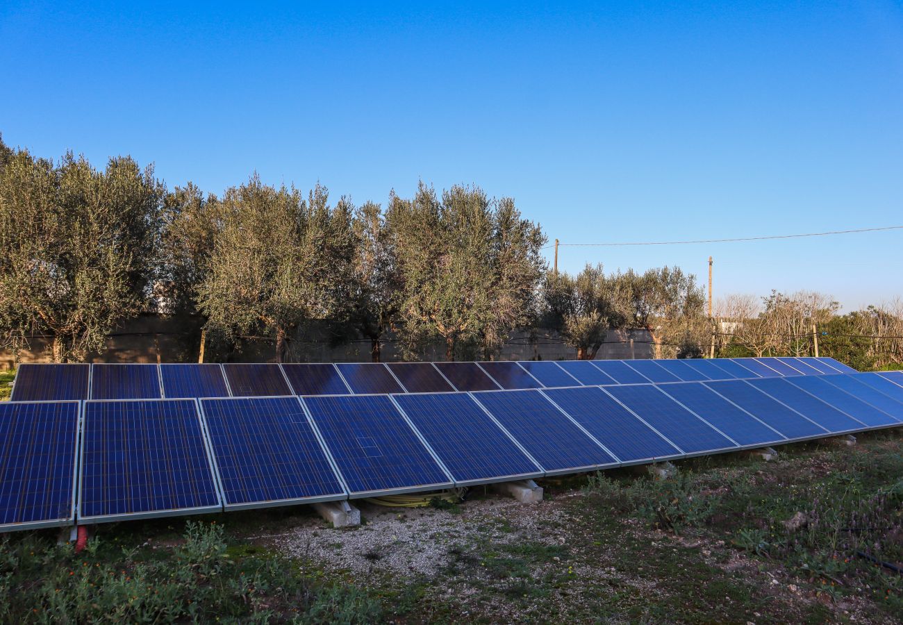 Villa a Sogliano Cavour - Villa in vendita con piscina e grande giardino ed impianto fotovoltaico v799