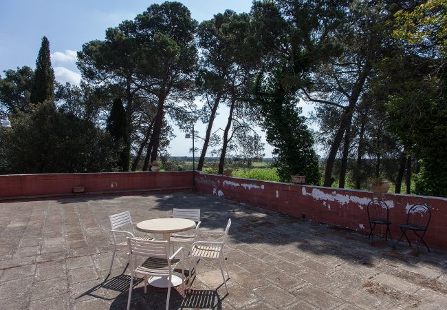 Villa a Francavilla Fontana - Agriturismo camere piscine vigneto oliveto v500