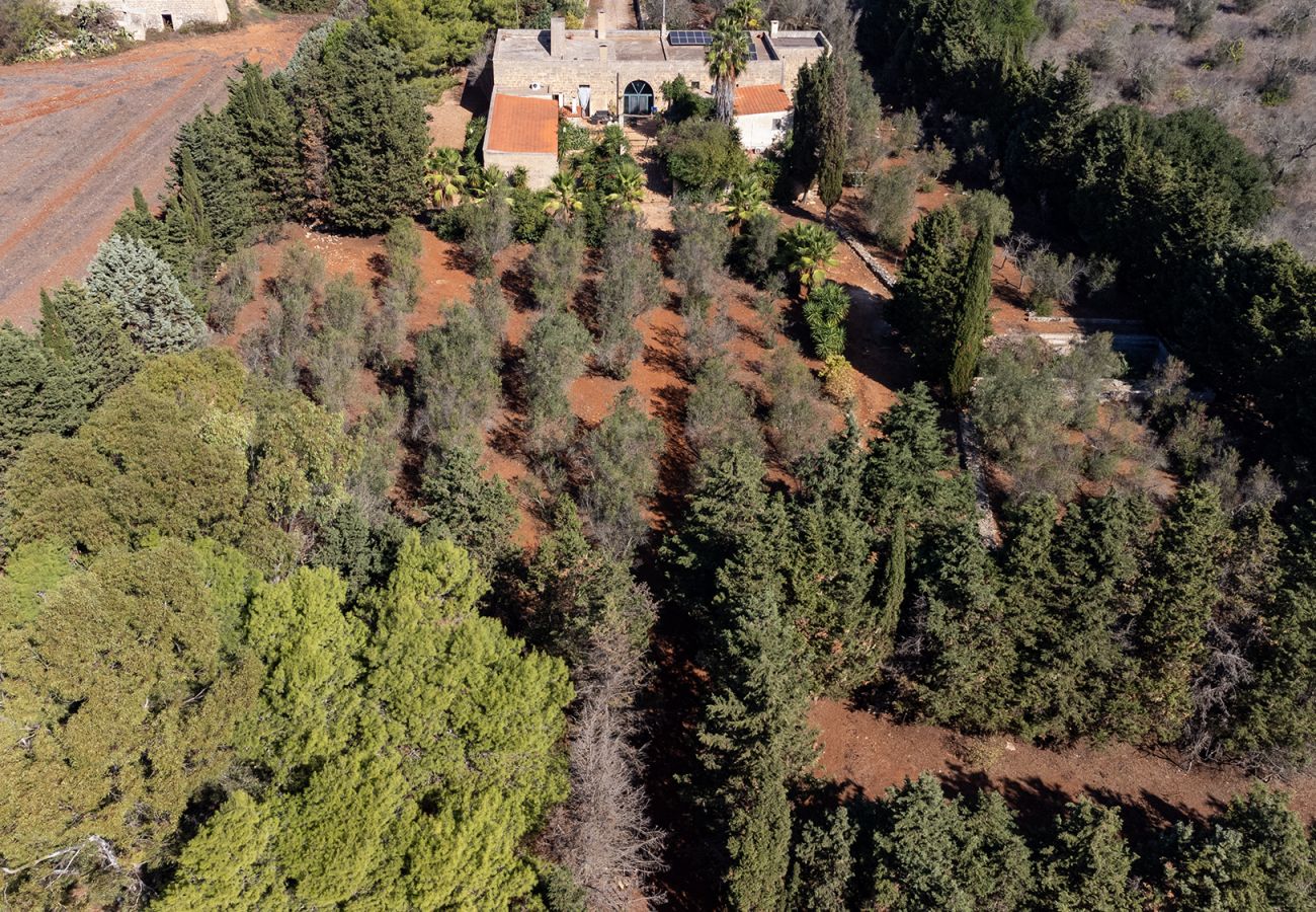 Villa a Acquarica del Capo - Masseria Pugliese da Sogno 20.000m² Giardino v770