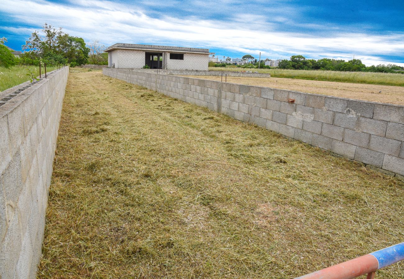 Casa rurale a Carpignano Salentino - Fabbricato rustico con giardino per realizzare villa piscina vicino paese v100