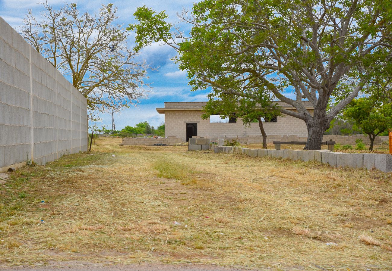 Casa rurale a Carpignano Salentino - Fabbricato rustico con giardino per realizzare villa piscina vicino paese v100