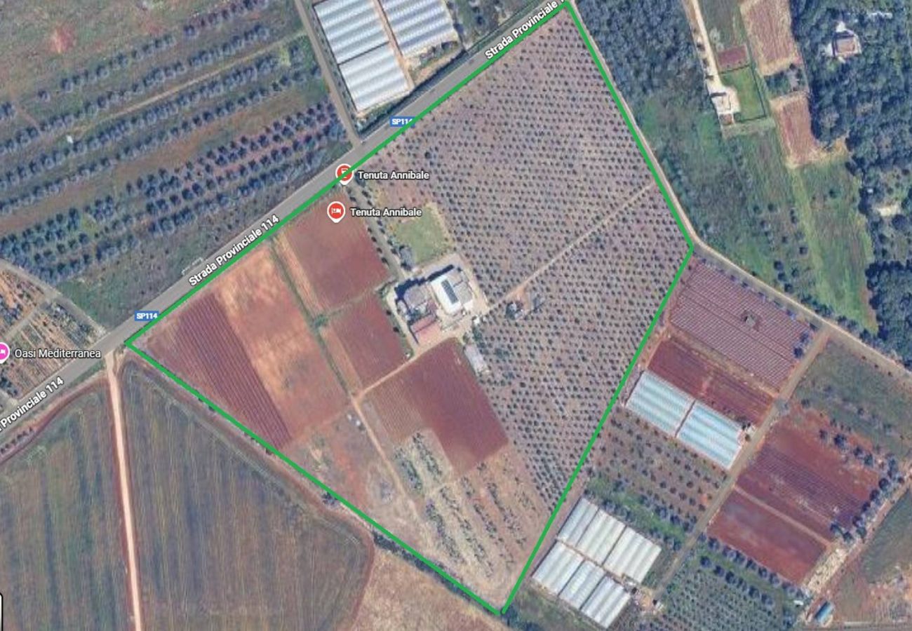 Agriturismo a Copertino - Tenuta Annibale–azienda vitivinicola Salento. v810