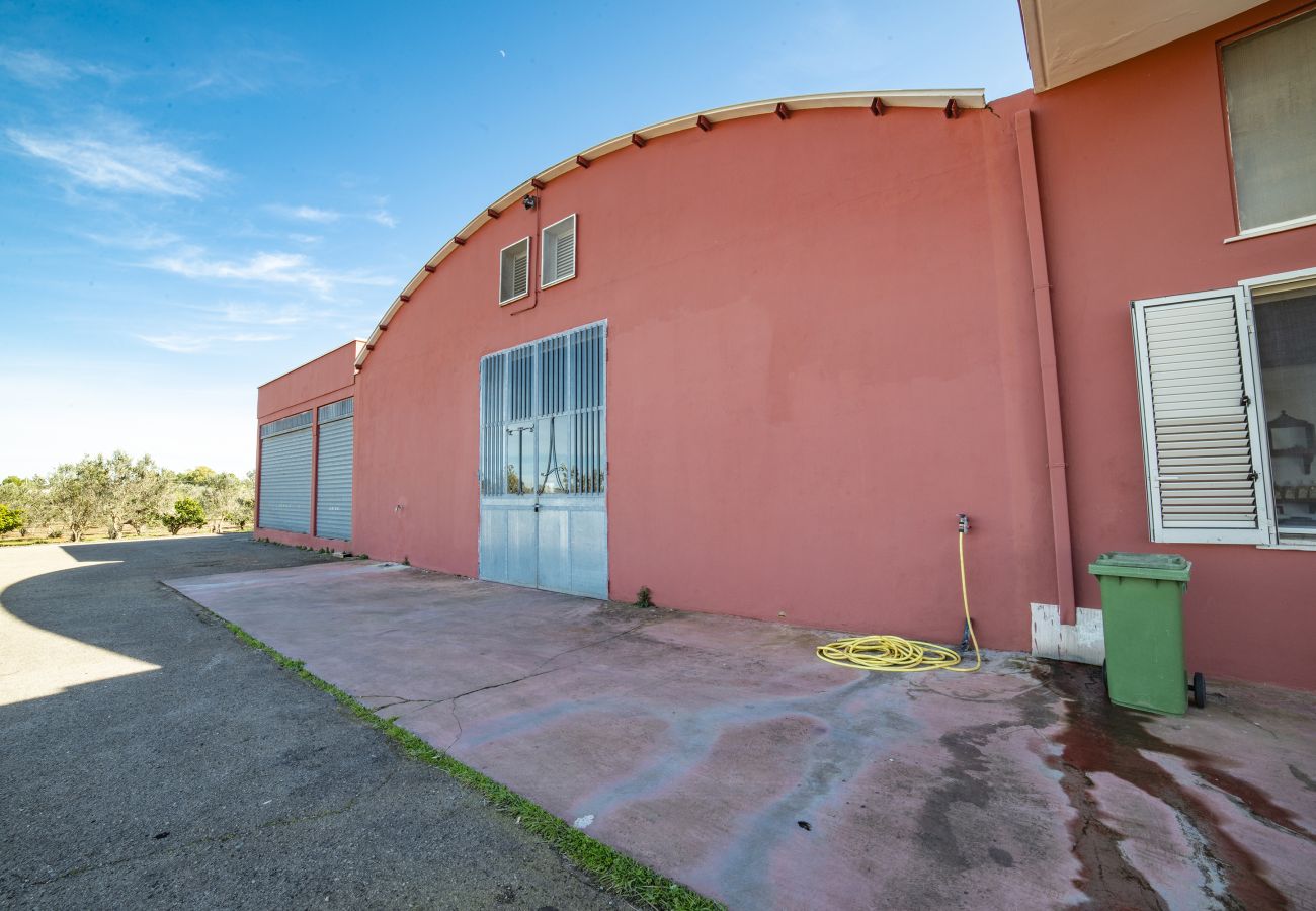 Agriturismo a Copertino - Tenuta Annibale–azienda vitivinicola Salento. v810