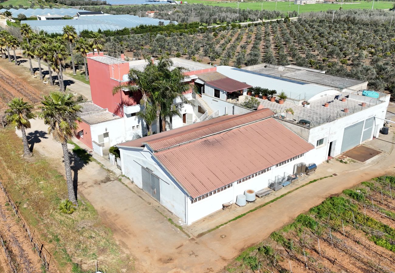 Agriturismo a Copertino - Tenuta Annibale–azienda vitivinicola Salento. v810