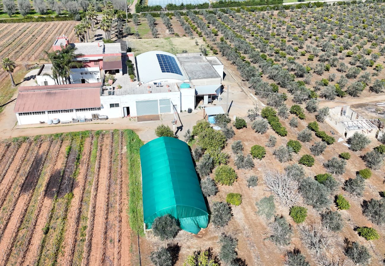 Agriturismo a Copertino - Tenuta Annibale–azienda vitivinicola Salento. v810