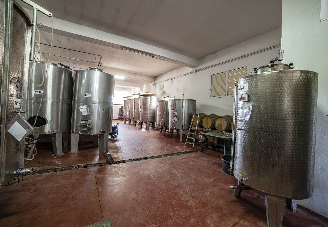 Agriturismo a Copertino - Tenuta Annibale–azienda vitivinicola Salento. v810