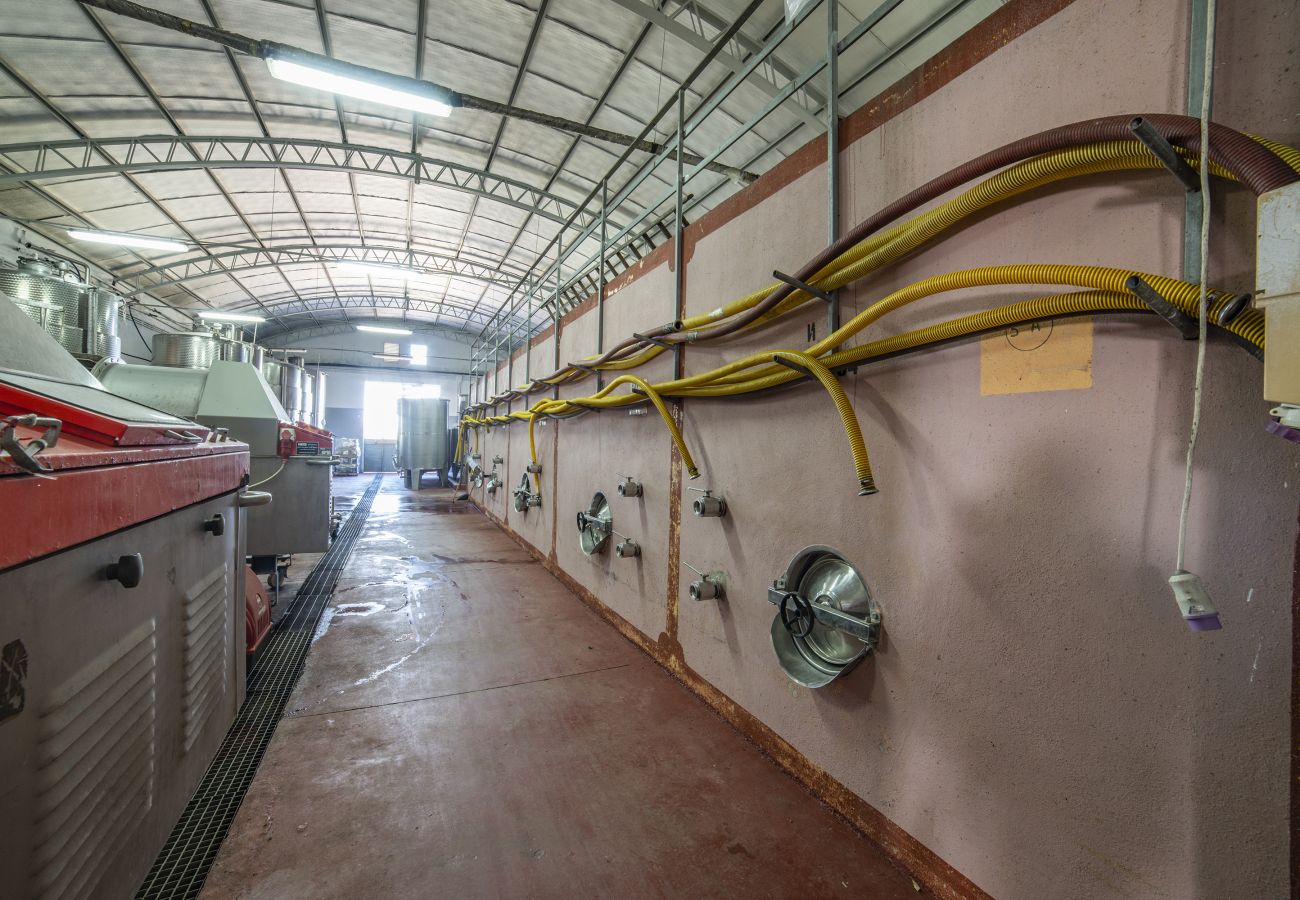 Agriturismo a Copertino - Tenuta Annibale–azienda vitivinicola Salento. v810