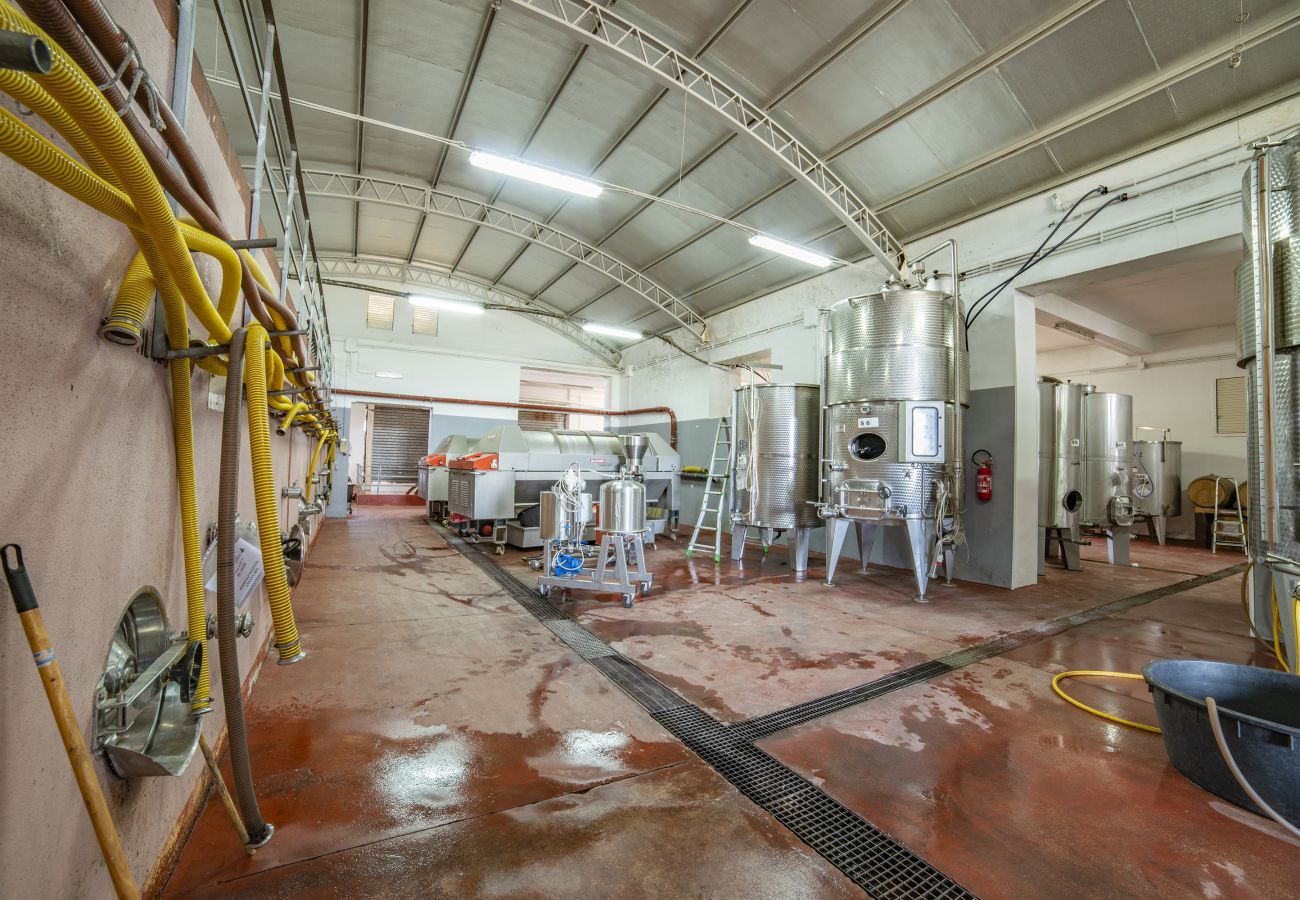 Agriturismo a Copertino - Tenuta Annibale–azienda vitivinicola Salento. v810