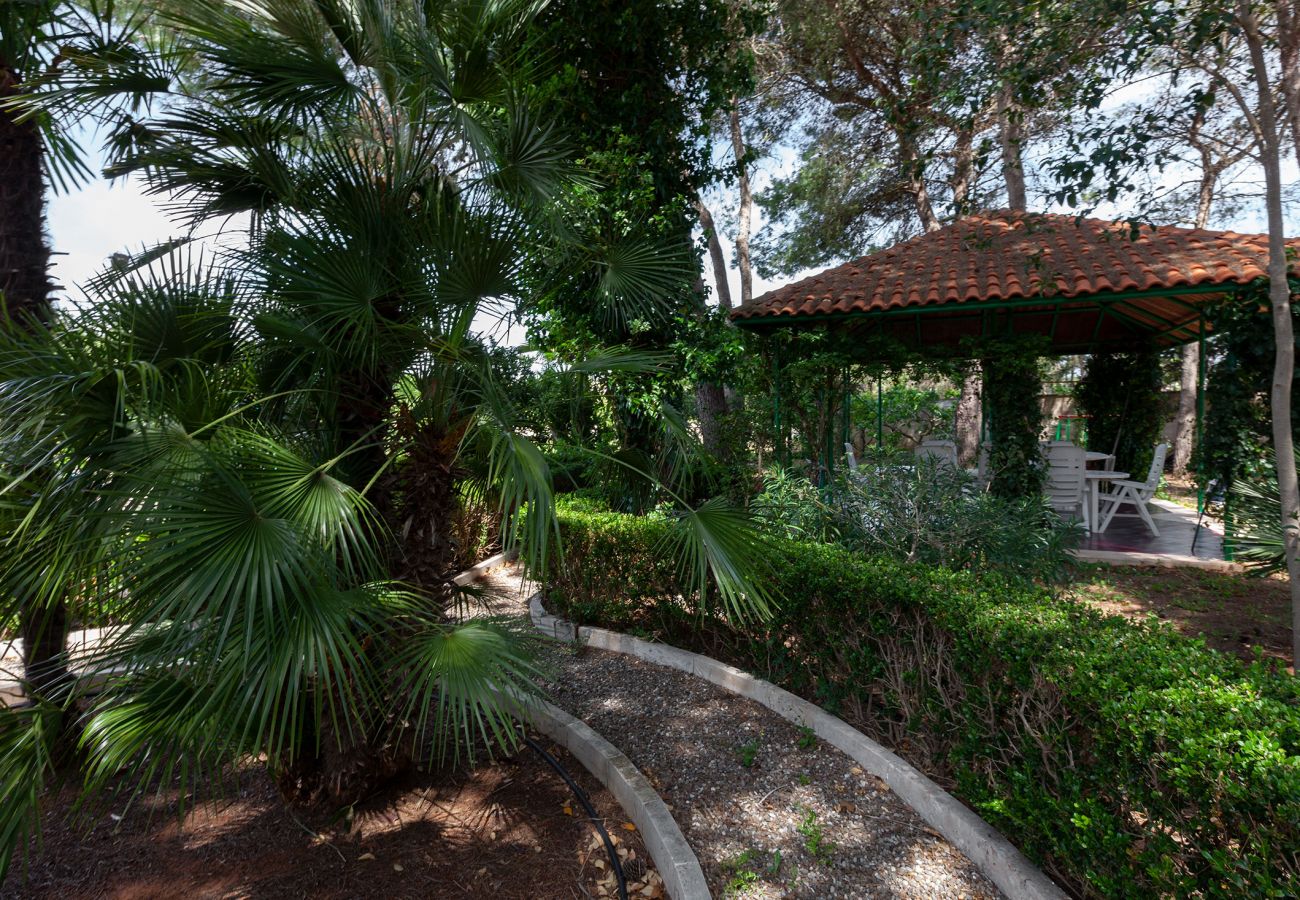 Villa/Dettached house in Oria - Villa grandissima piscina e verde giardino v215