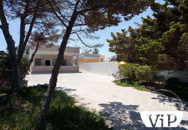 House in Torre Chianca - Holiday villa with large courtyard in front of the beach 3 bedrooms m730