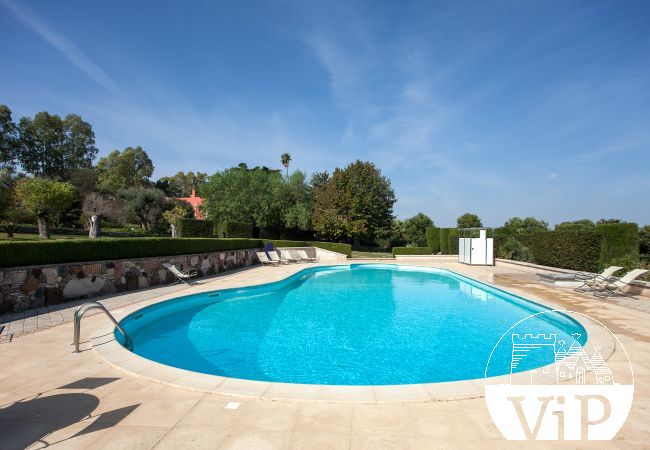 Villa in Galatina - Villa 6 bed- and  6 bathrooms with private pool m880