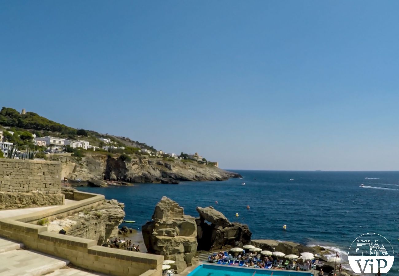 Villa in Vitigliano - Villa Salentina with private pool near the sea (both beach and rocky coast) m250
