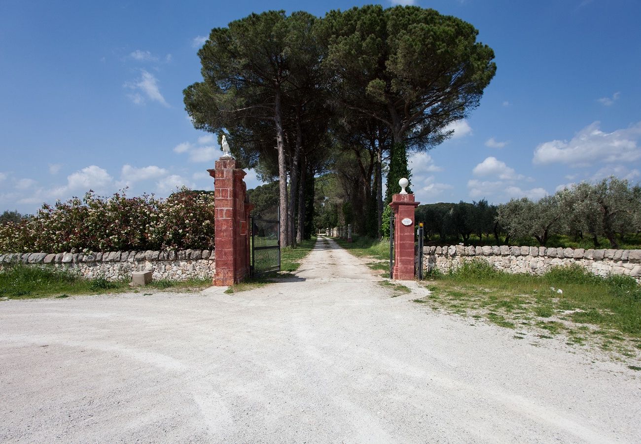 Villa/Dettached house in Francavilla Fontana - Farmhouse rooms 2 pools vineyard olive grove v500
