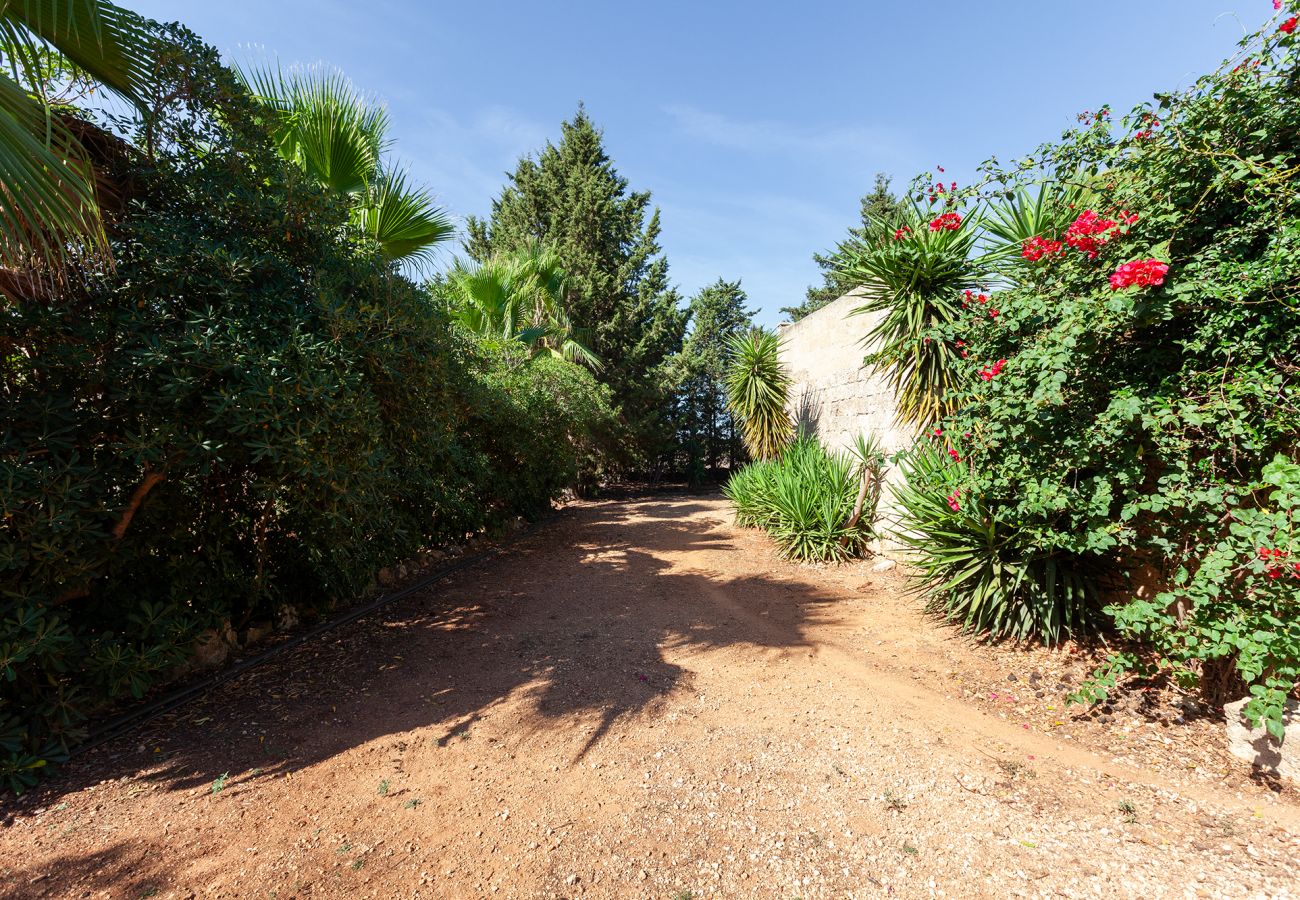 Villa/Dettached house in Acquarica del Capo - Dream Masseria in Puglia 2 hectares v770