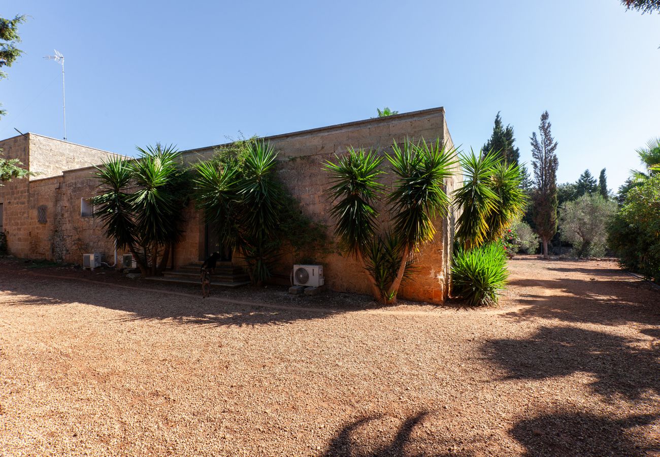 Villa/Dettached house in Acquarica del Capo - Dream Masseria in Puglia 2 hectares v770