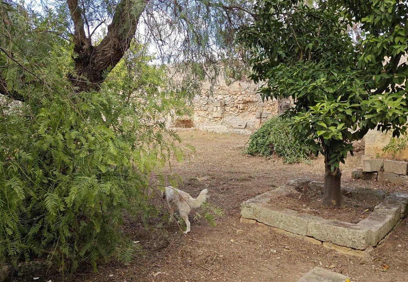 Farm stay in Alessano - Farmhouse to renovate near the sea - v790 Macurano