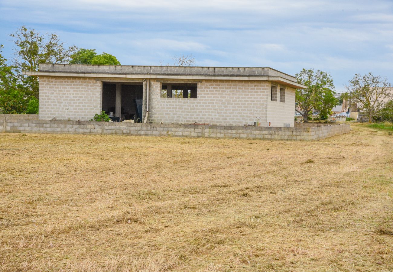 Cottage in Carpignano Salentino - Rustic building with garden to create a villa with a swimming pool near town v100