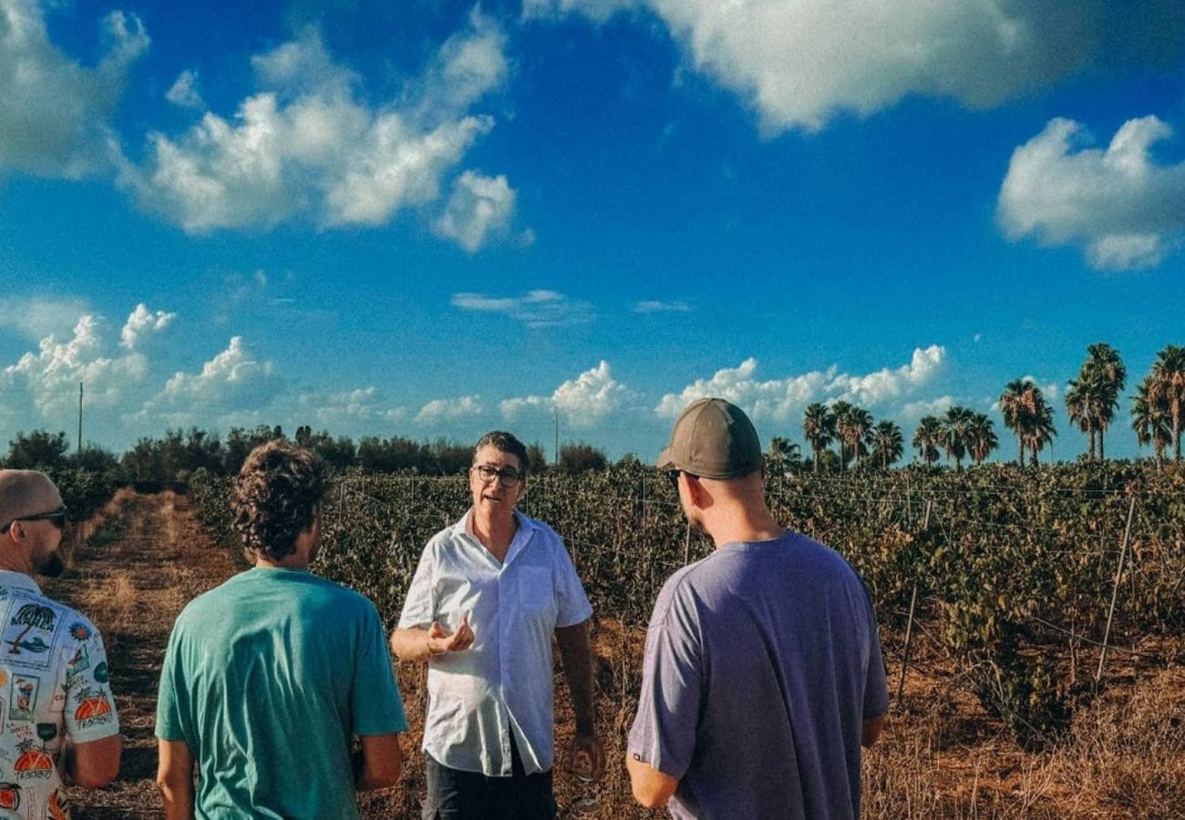 Farm stay in Copertino -  Tenuta Annibale – Salento winery. v810