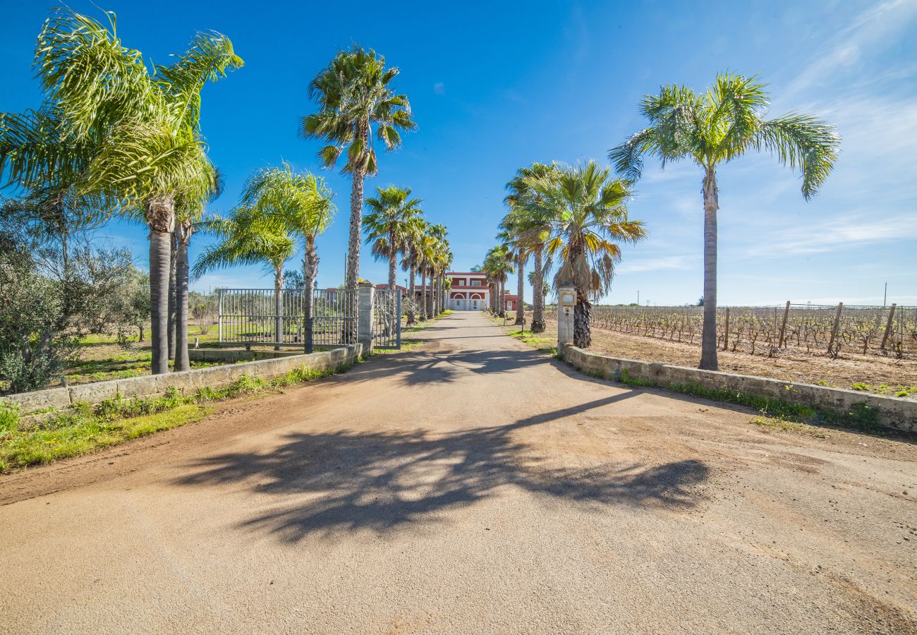 Farm stay in Copertino -  Tenuta Annibale – Salento winery. v810