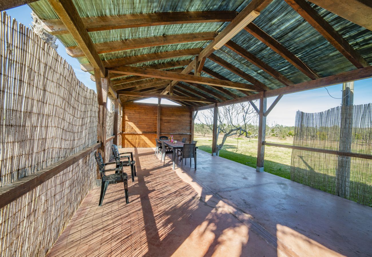 Farm stay in Copertino -  Tenuta Annibale – Salento winery. v810