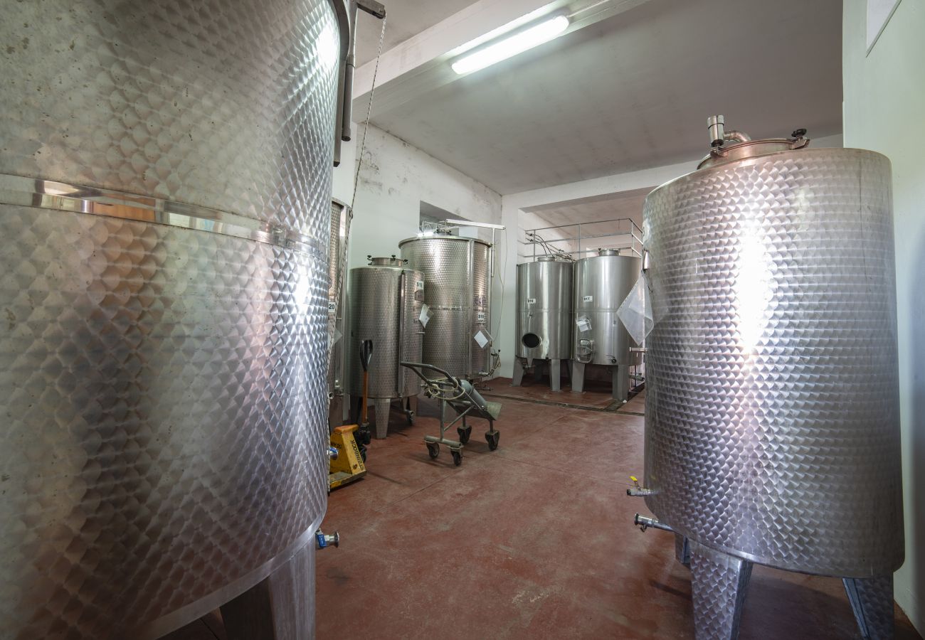 Farm stay in Copertino -  Tenuta Annibale – Salento winery. v810