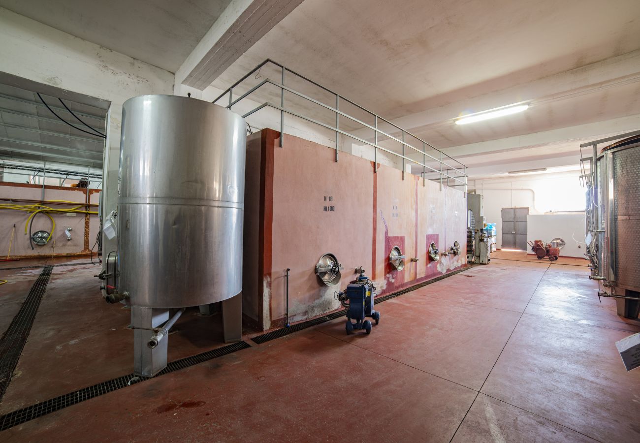 Farm stay in Copertino -  Tenuta Annibale – Salento winery. v810