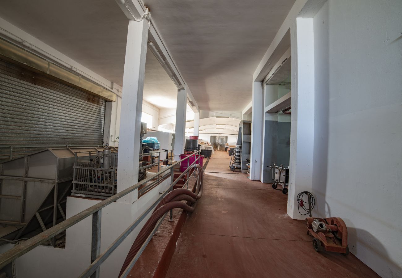 Farm stay in Copertino -  Tenuta Annibale – Salento winery. v810