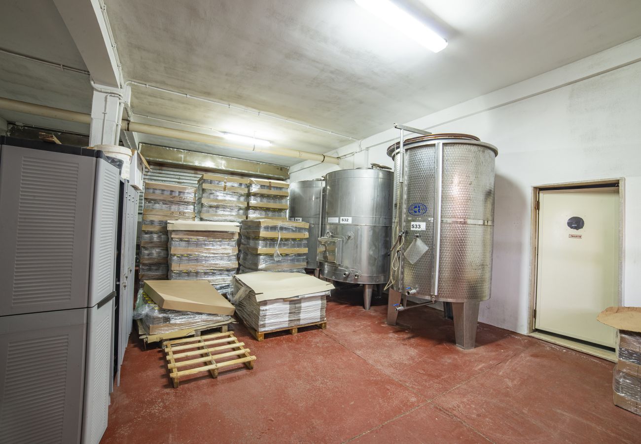 Farm stay in Copertino -  Tenuta Annibale – Salento winery. v810