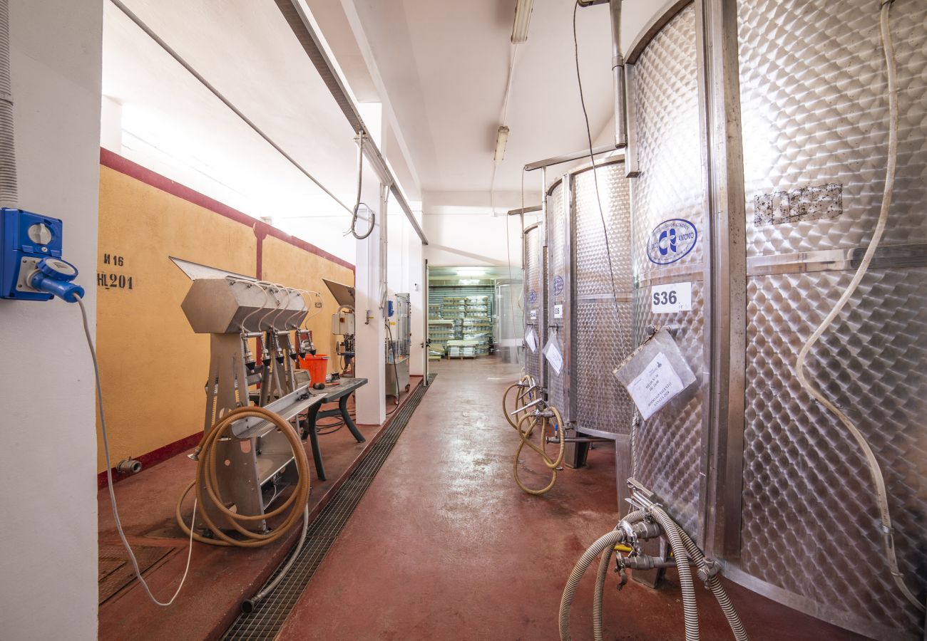 Farm stay in Copertino -  Tenuta Annibale – Salento winery. v810