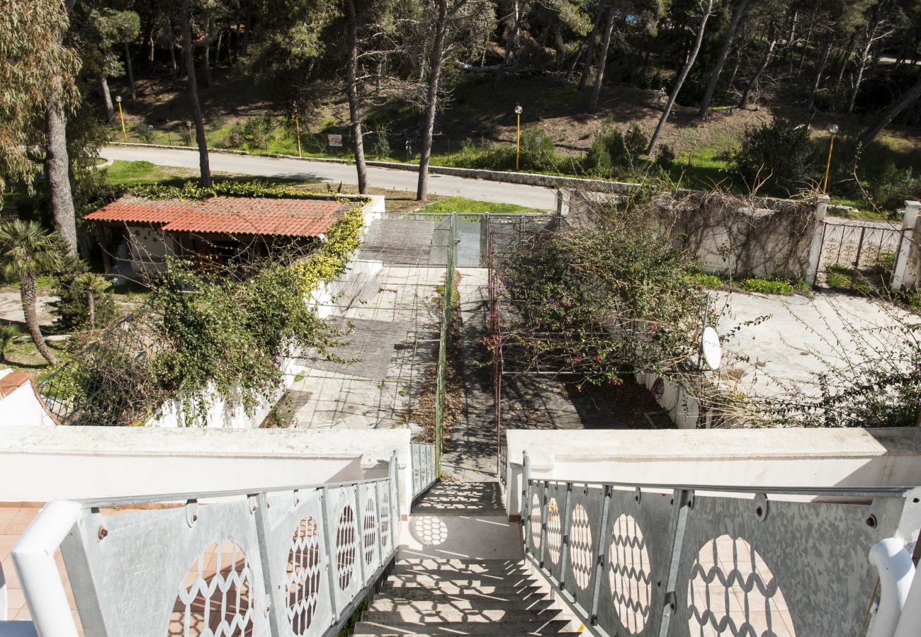 Apartment in Torre dell´Orso - House-panoramic terrace and beach access v122