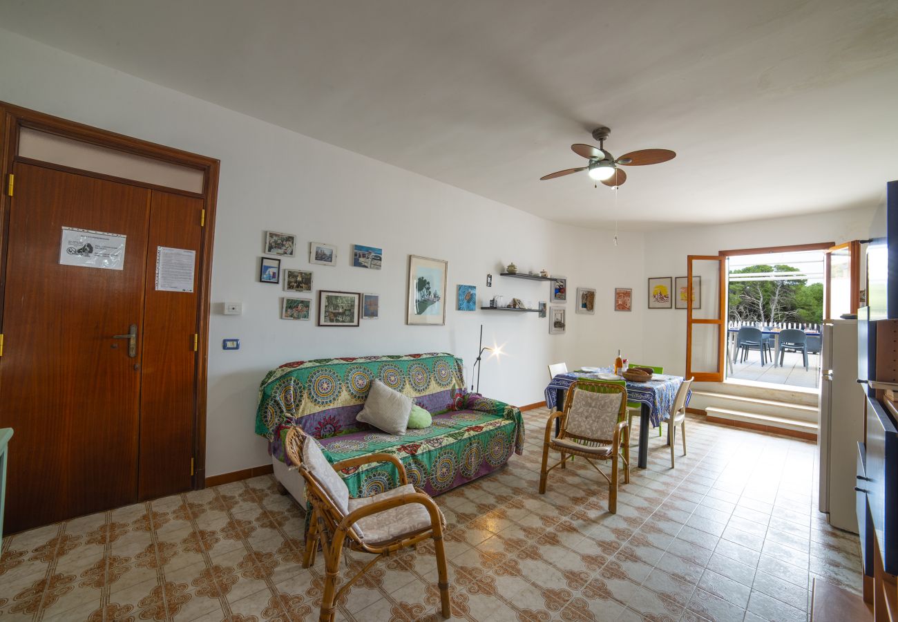 Apartment in Torre dell´Orso - House-panoramic terrace and beach access v122