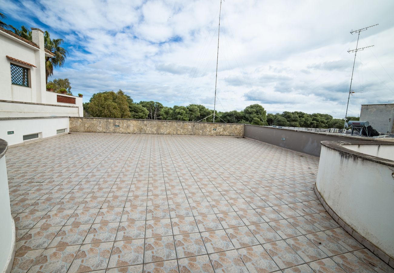 Apartment in Torre dell´Orso - House-panoramic terrace and beach access v122