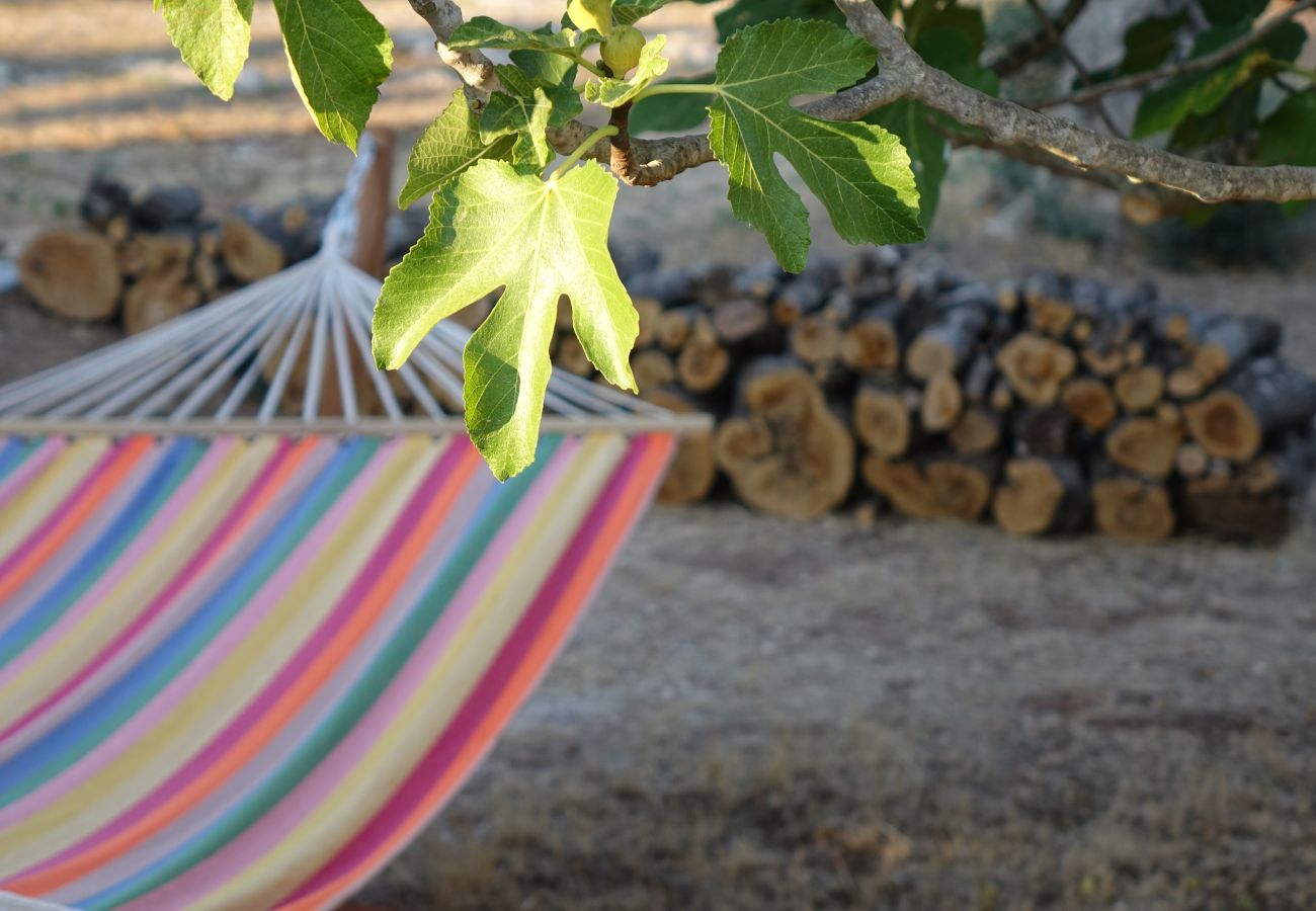 Farm stay in Lizzanello - Farmhouse in the Salento countryside – v820